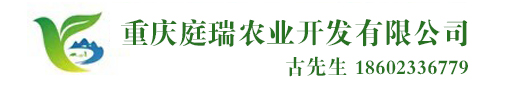 吳茱萸苗/李子苗/黃柏苗/枳殼苗/明日見/柑橘苗/沃柑苗